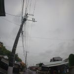 暑さ　寒さ　241003